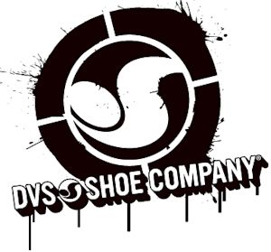 dvs.jpg